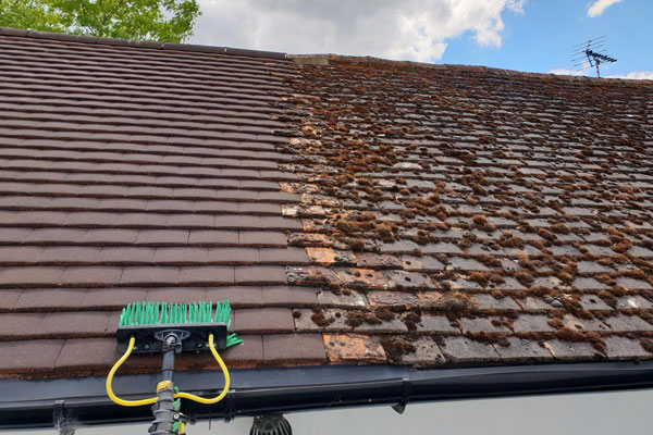 Roof moss cleaning